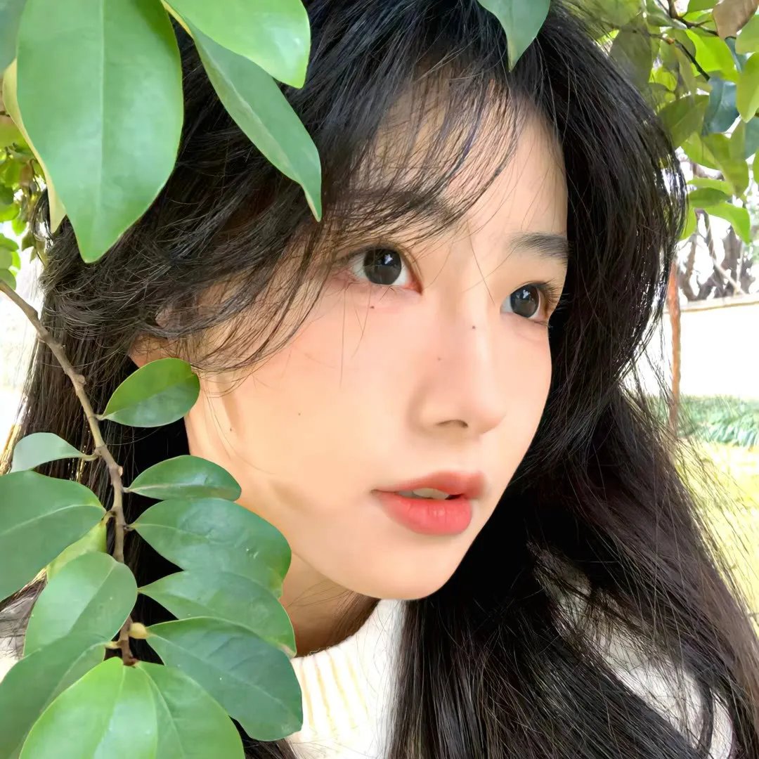 羊与钢的森林